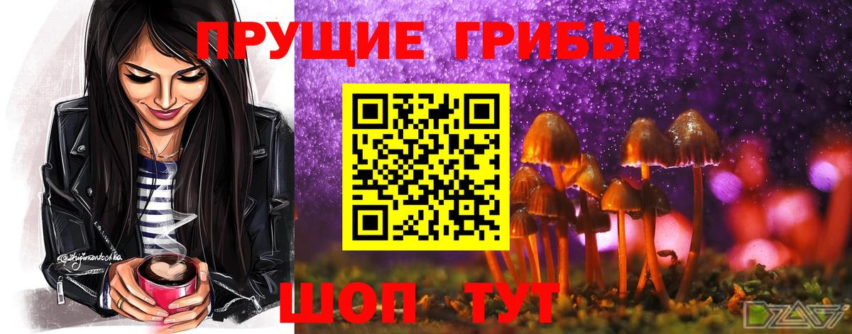 Галлюциногенные грибы мухоморы Узловая
